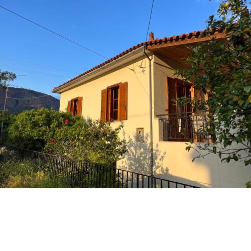 Lemon Tree House