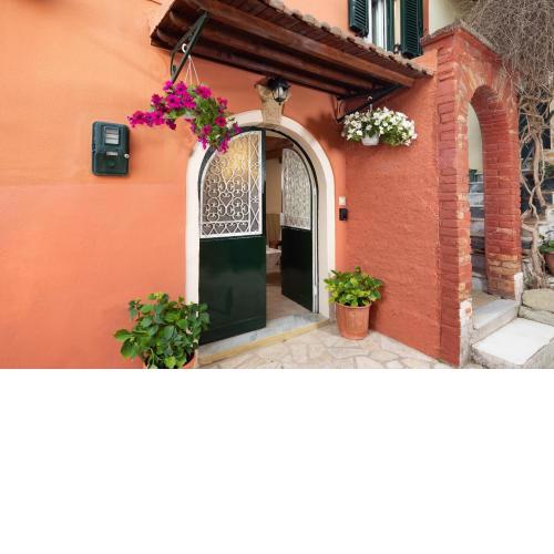 Lemon Tree House