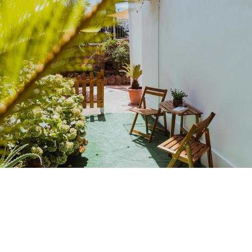 Lemon Tree Rooms
