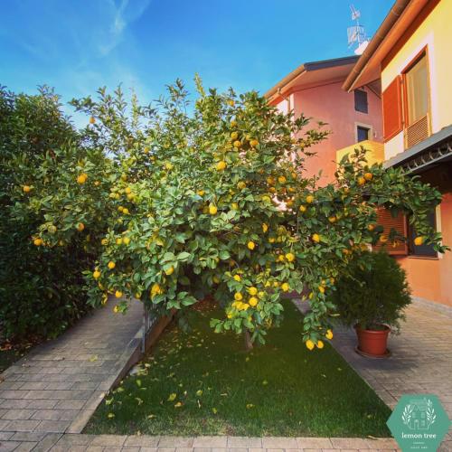 Lemon tree suite al golf