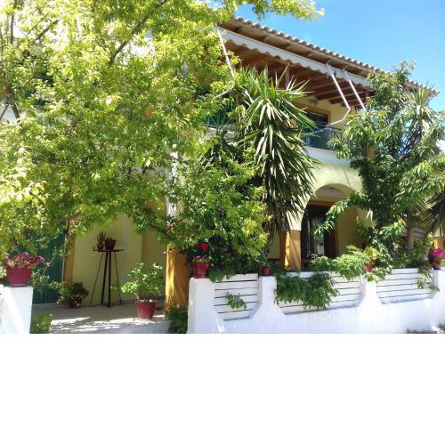 Lenia Studios