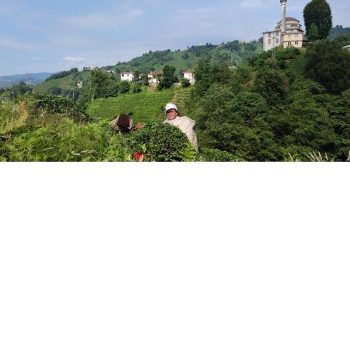 Leventoğlu Çiftliği