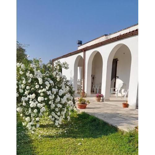 Li tufi Salento casa vacanze Puglia