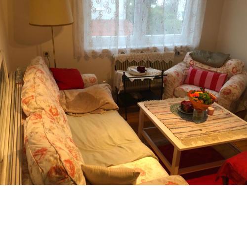Liebevoll eingerichtete Wohnung mit 5 Betten