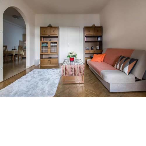 Light and Lovely Flat in the Center (5th district)