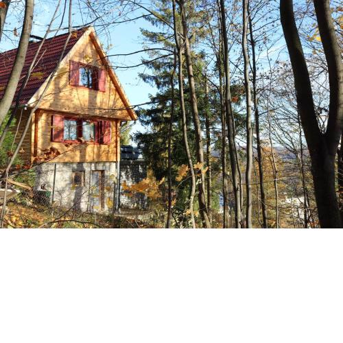 Lili's Lovely Log Home in the Forest