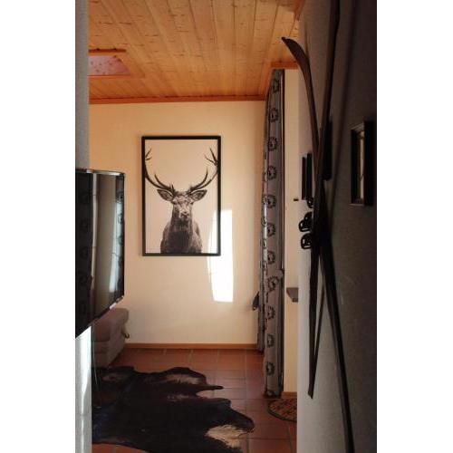 Lilly Chalet- apartments with private sauna, close to ski lifts