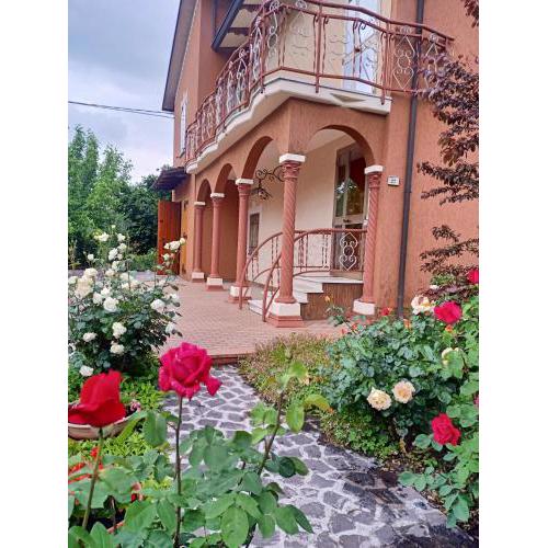 LILY - STORIE DEL BOSCO -