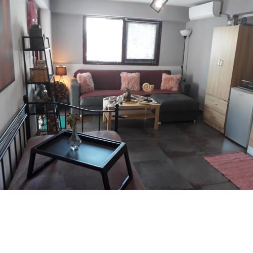 Limanaki Ss View Apartment