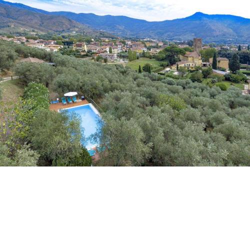 Limone