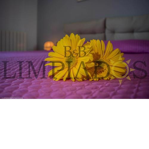 Limpiados Bed & Breakfast
