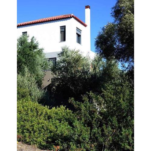 LIOFYTO - Stylish Villa with views to Foinikounda bay downstairs studio