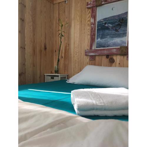 Lion Hostel By Rebels kiteschool