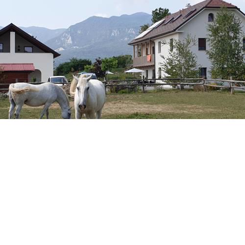 Lipizzaner Lodge Guest House