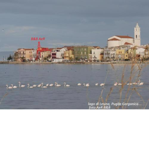 L'ISOLA AeR B&B
