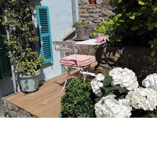 Little garden