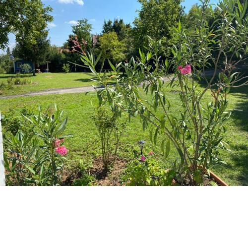 Little Paradise Camping und Ferienbungalow
