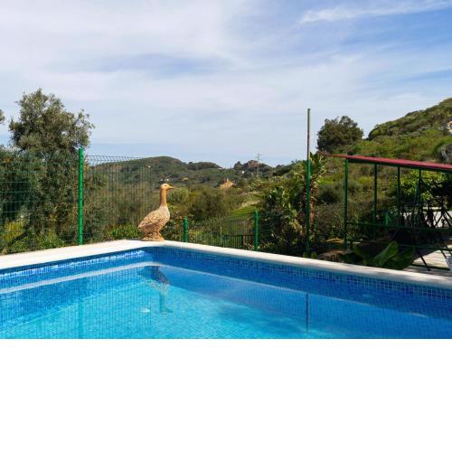 Live Finca el Gamonal Bajo con piscina y jardin en la naturaleza