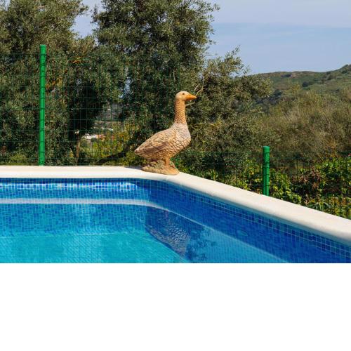 Live Finca Santa Brigida EL Moral