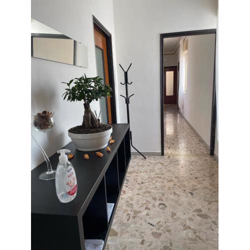 L&L Home