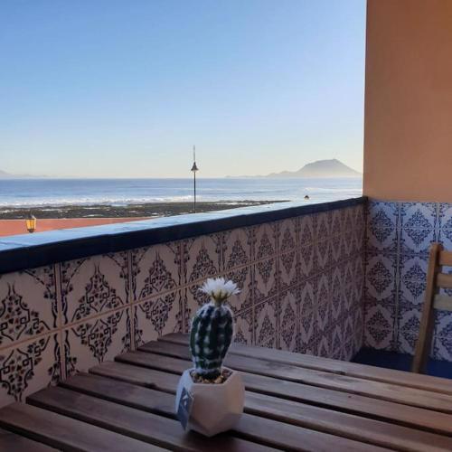 Lobos Views Workaction, Enjoy while you work