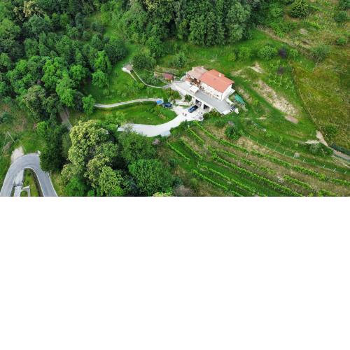 Locazione turistica - B&B- Cocodè