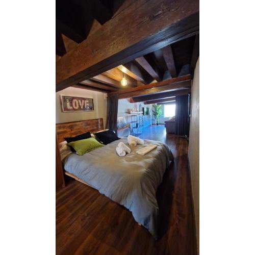 LOFT LA CATEDRAL DE CASA BOTES