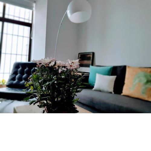 Loft San Diego 2