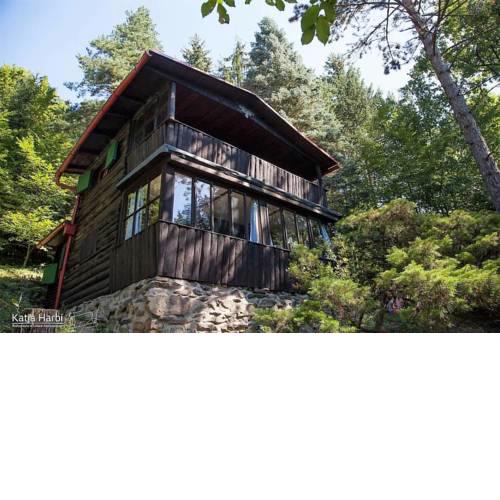 Log Cabin