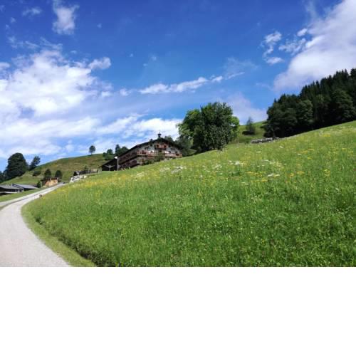 Lohningbauer