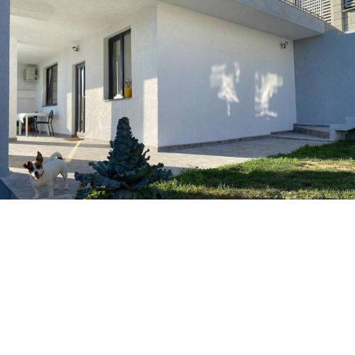 Lola seaview guest house. Уютный Домик в Варне
