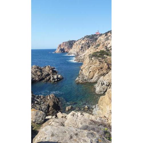 L'Onda Blu