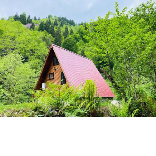 Long River Mountain House - Bungalow