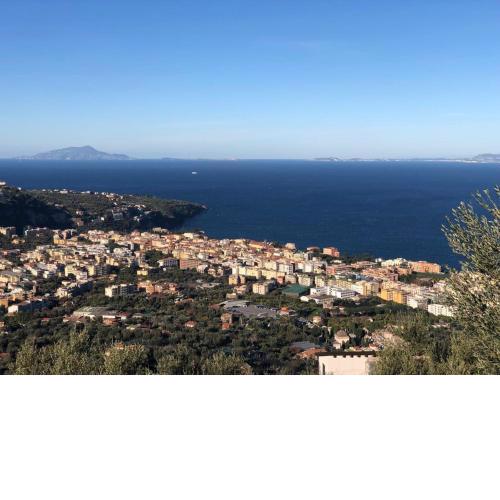 L'Orto di Grace