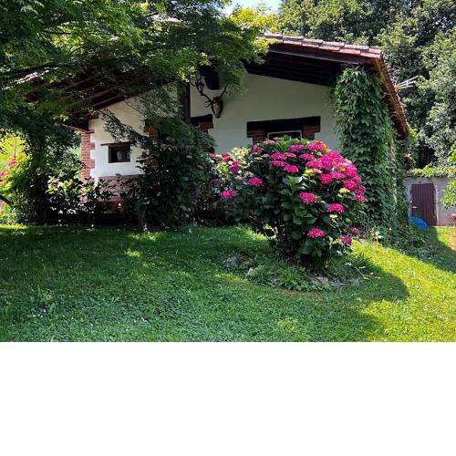 Los Acebos de Pena Cabarga