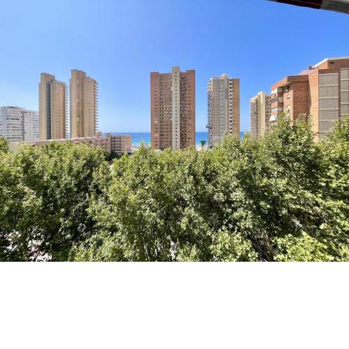 Los caballos Levante Beach Benidorm