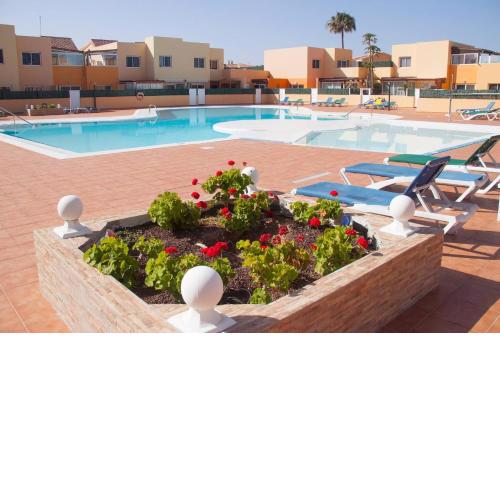 Los Delfines Bravos Apartment,50 Meter Far Beach
