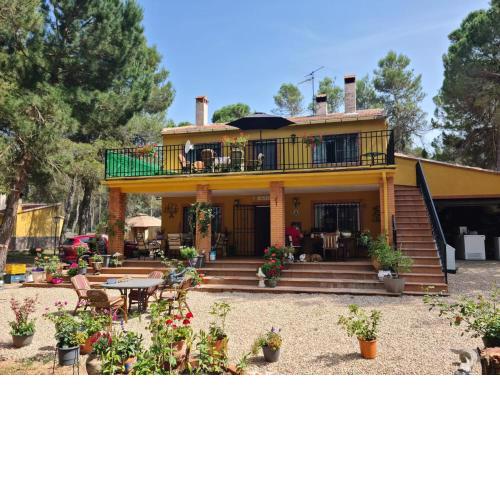 Los Pinos 2