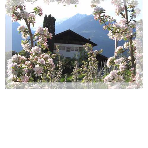 Lothof