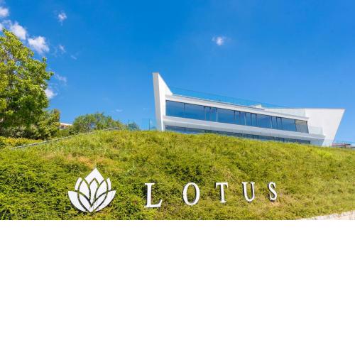 Lotus Luxury Rooms