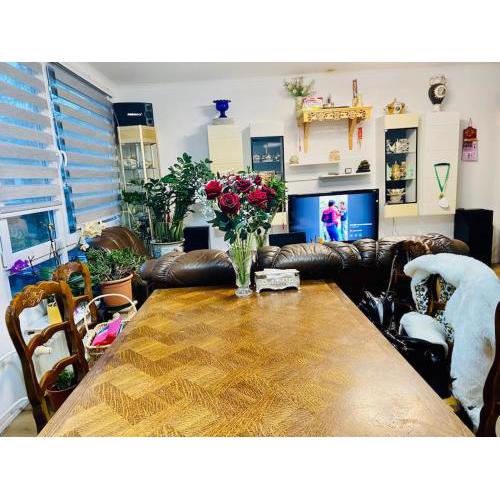 Lovely apartment near center