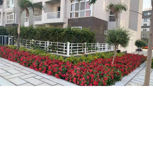 Lovely garden view