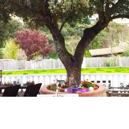 Lovely home nearby Madrid to enjoy nature
