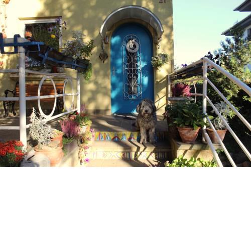 Lovely Nest near Budapest