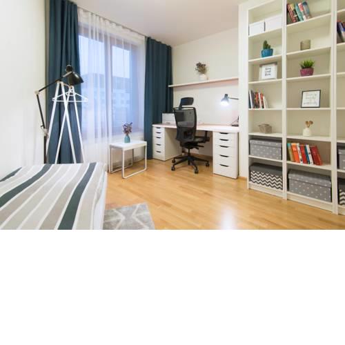 Lovely Room in a New Apt