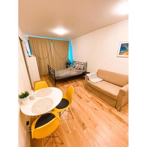 Lovely studio apartment