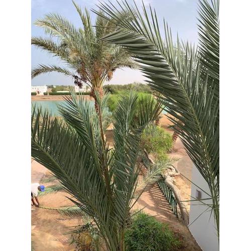 Lovely Villa fully equipped & direct lagoon access