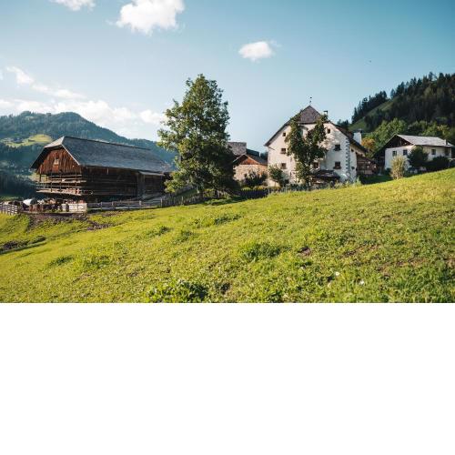 Lüch Colz
