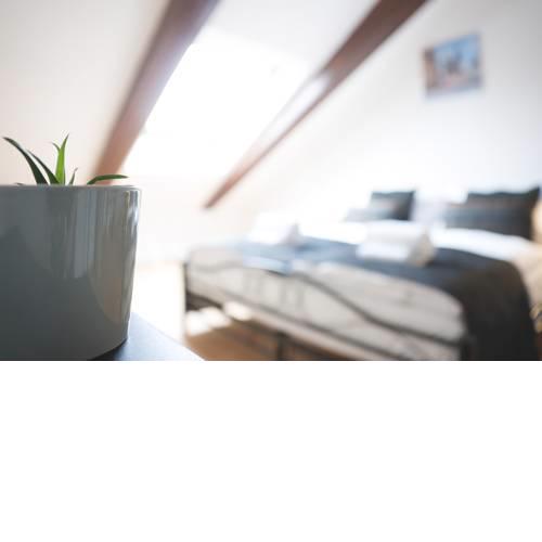 Lucky Angel Apartments Prague-Karlin