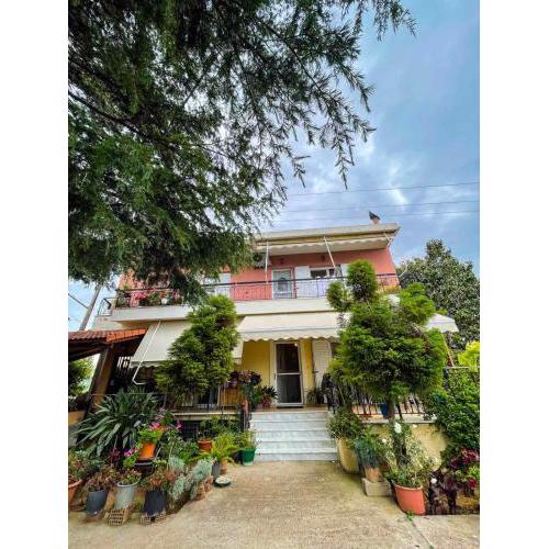 Lucky's House